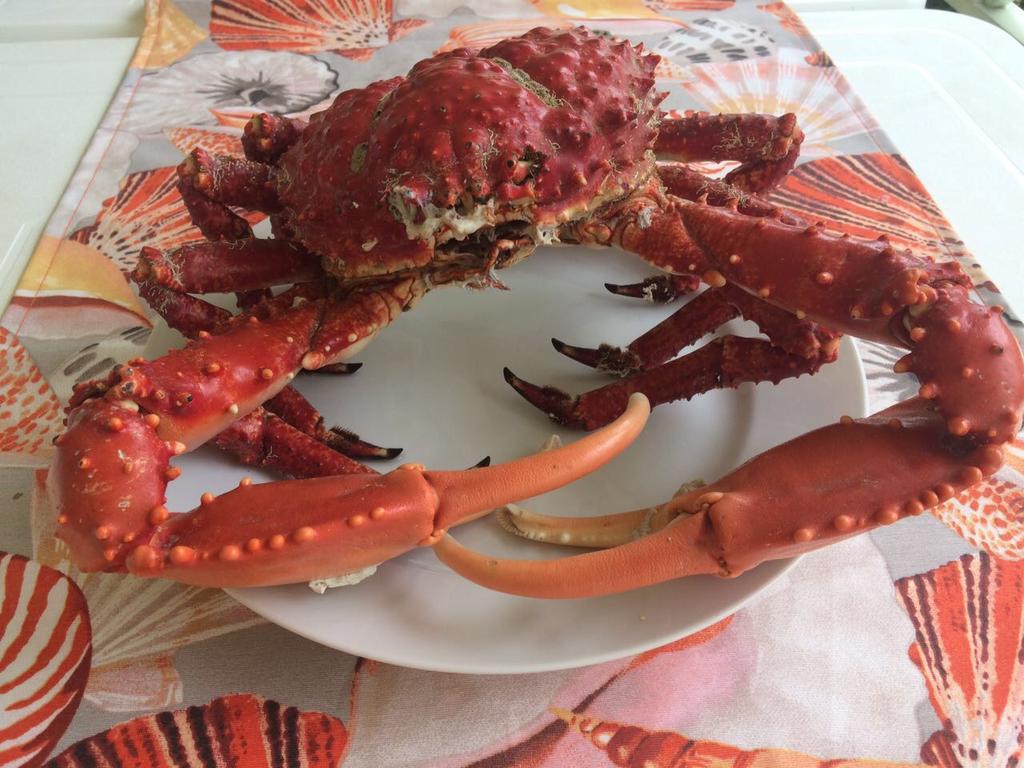 Appartamento Blu Las Terrenas Εξωτερικό φωτογραφία